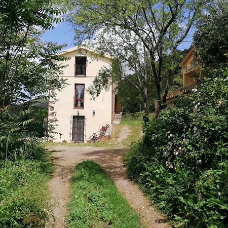 Ferula Villa Seùlo Exterior foto