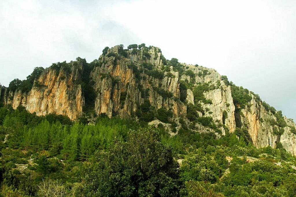 Ferula Villa Seùlo Exterior foto
